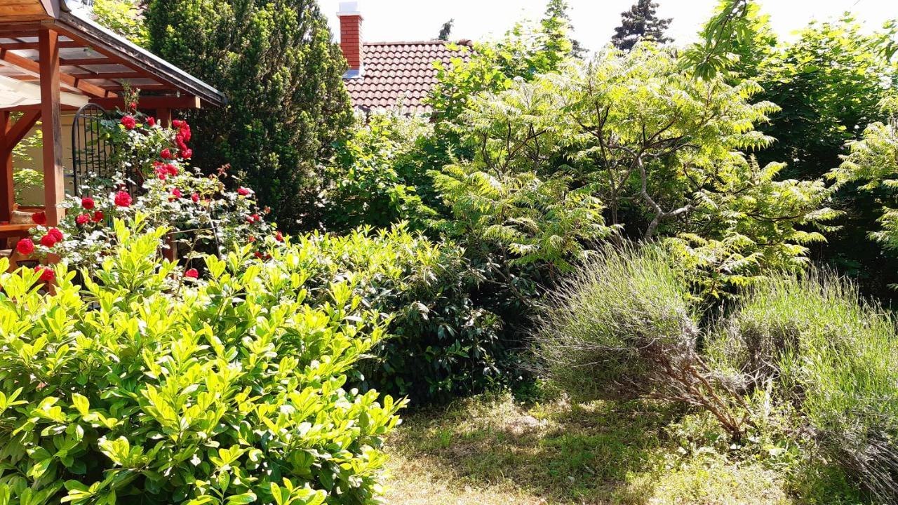 Villa Szalakóta Ház Balatongyörök Esterno foto